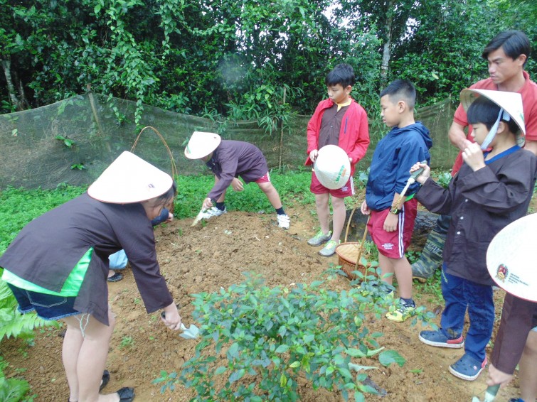 BIS Hanoi Primary