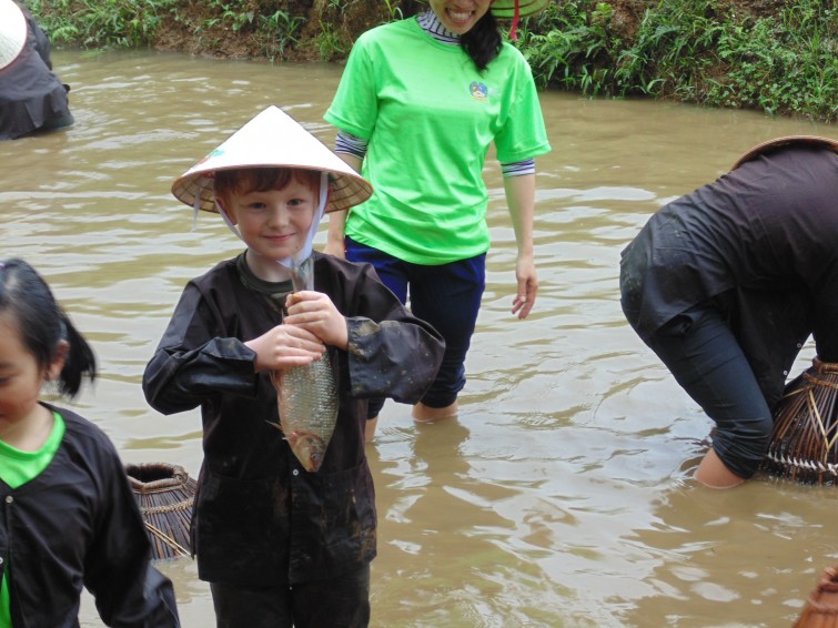 BIS Hanoi Primary