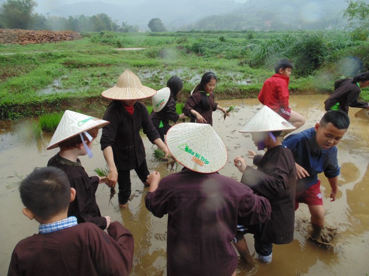 BIS Hanoi Primary