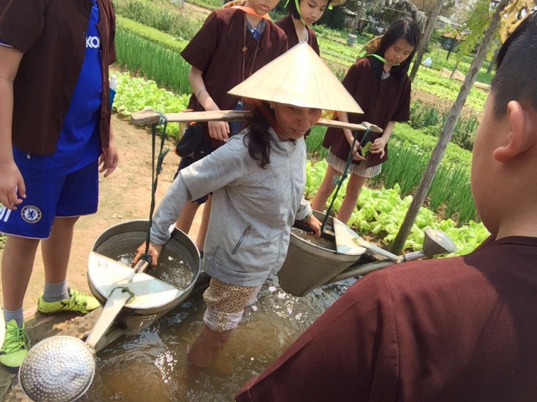 BIS Hanoi Primary