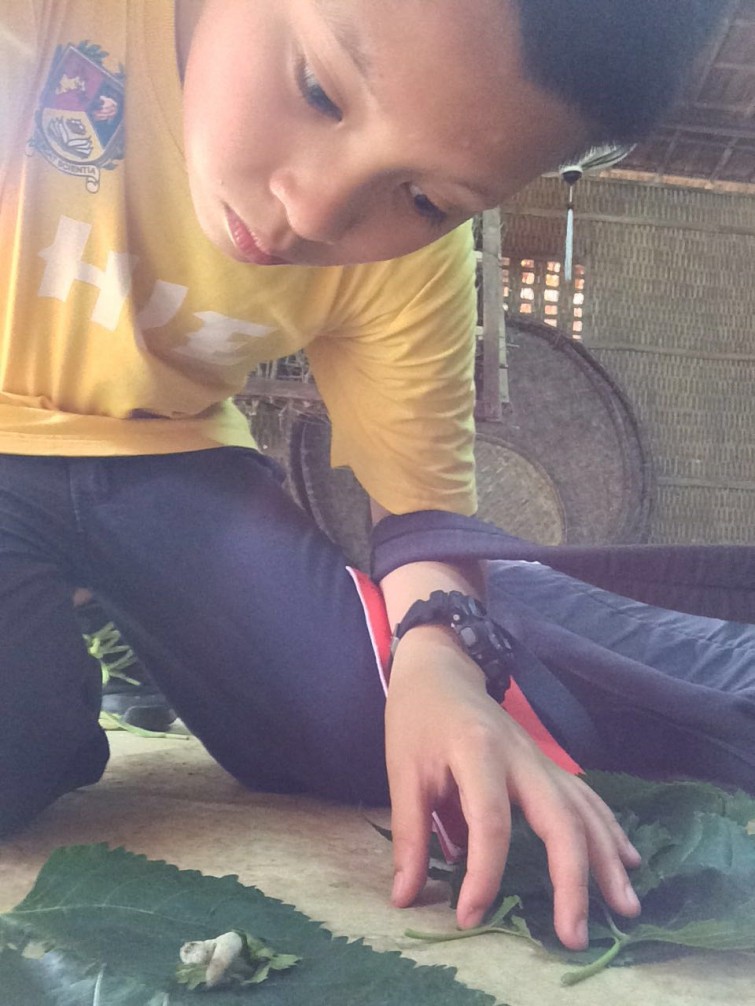 BIS Hanoi Primary