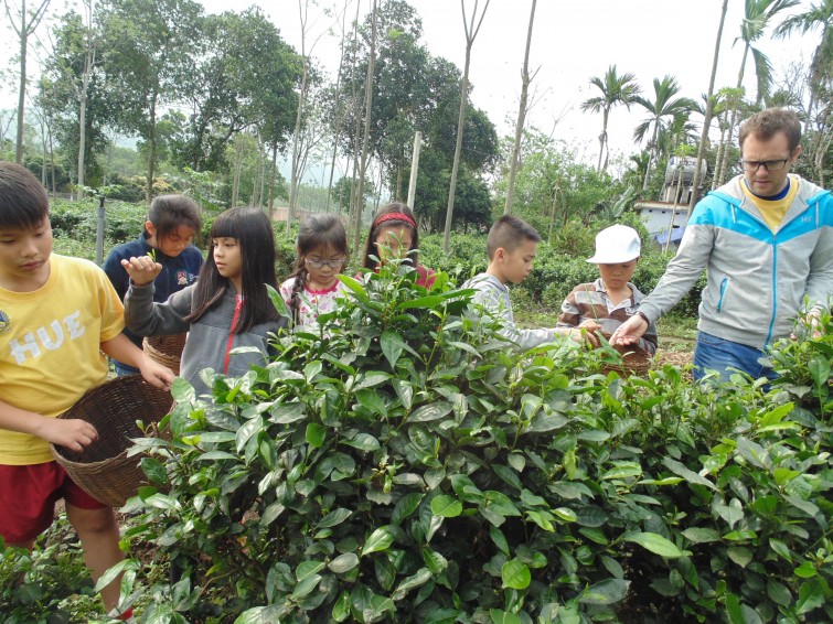 BIS Hanoi Primary
