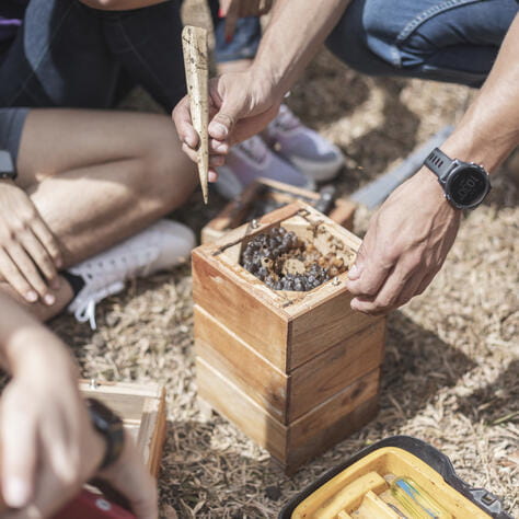 CDS_Costa Rica_Dec_2022_Social_purpose_Beehive