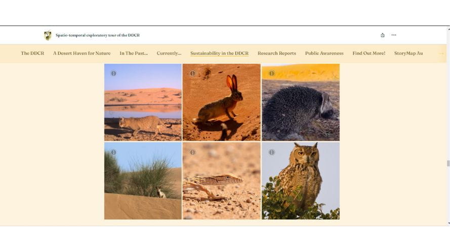 Untitled design 31jpg