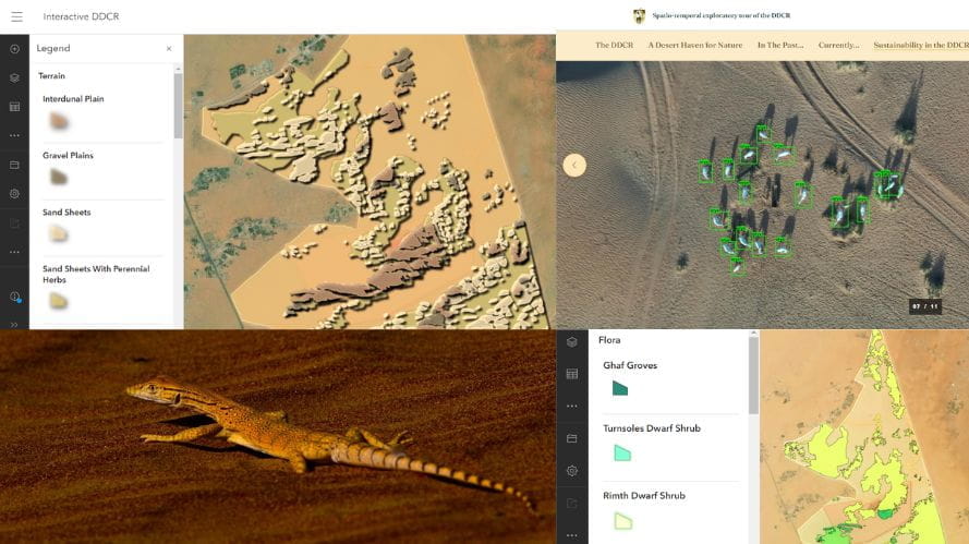 Untitled design 33jpg