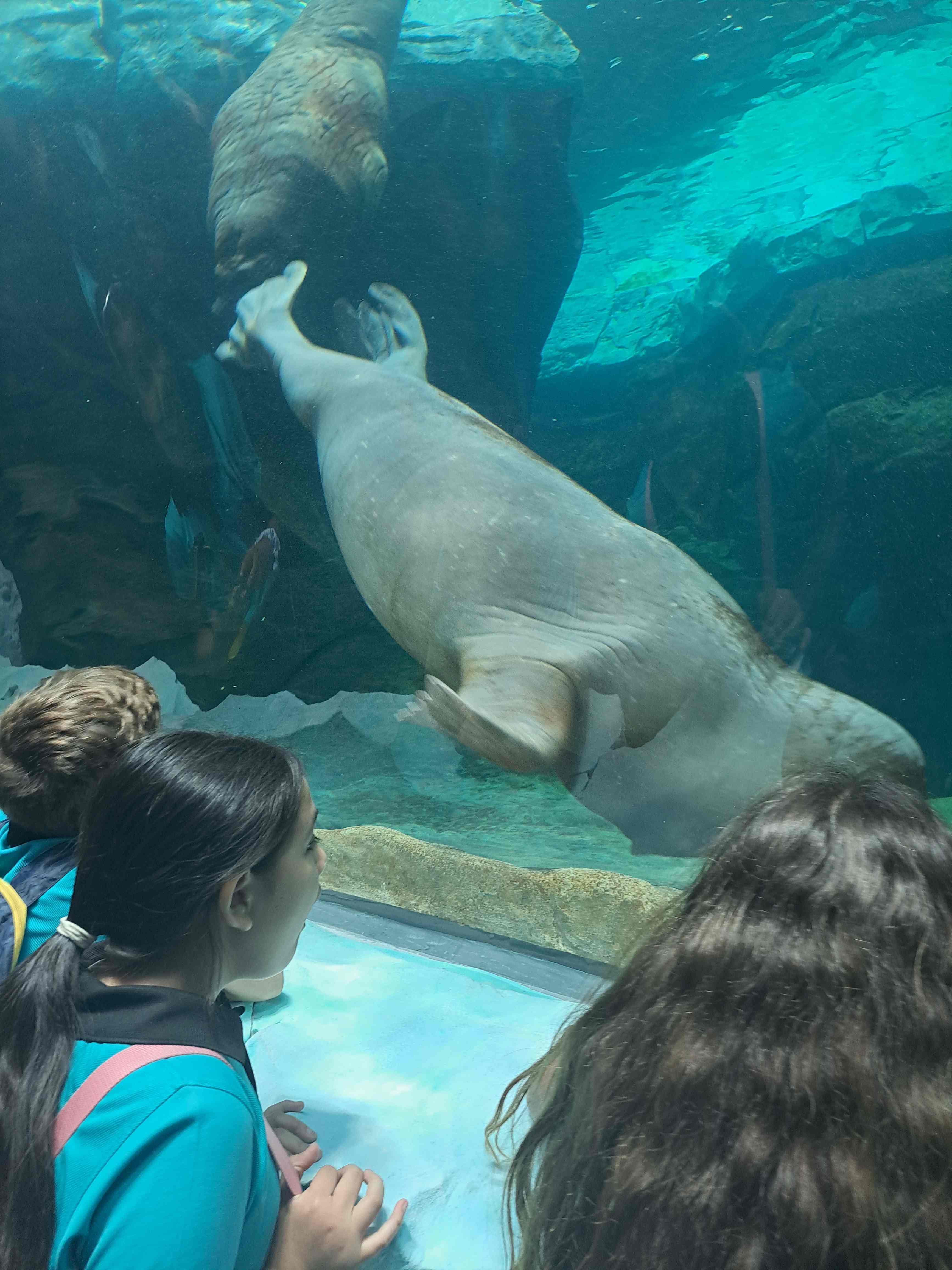 2023053011335011zonjpg