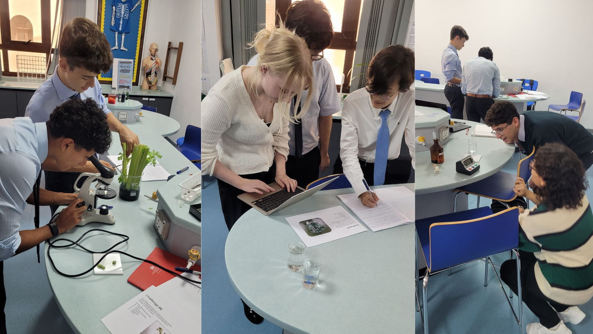 Diving into Year 12 IB Biology - Diving into Year 12 IB Biology