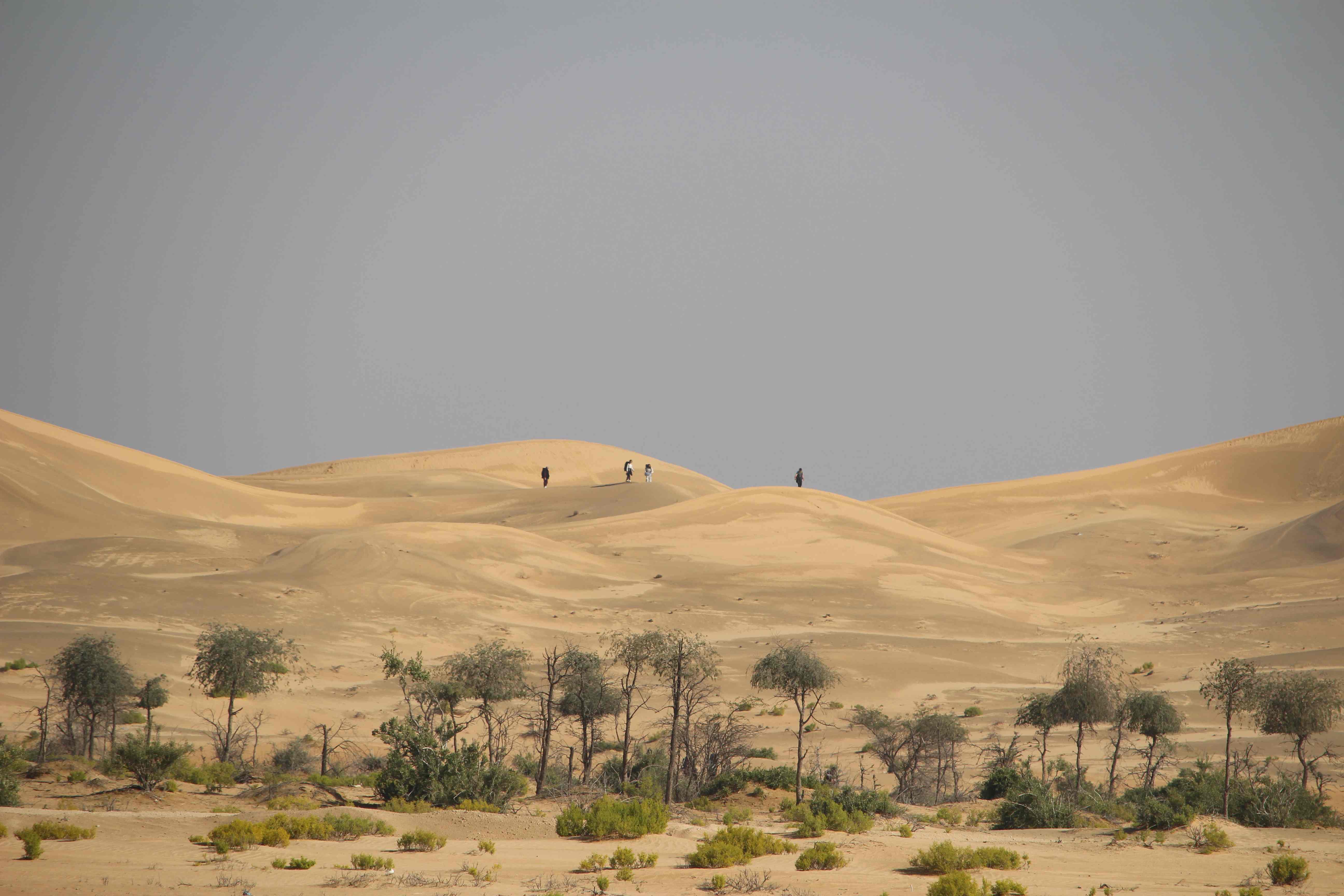 Duke of Edinburgh Practice for Adventurous Journey - Carousel For News Detail