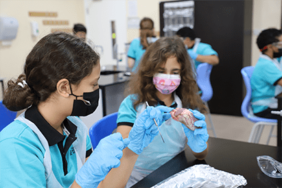 Year 6 Heart Dissection - Carousel For News Detail