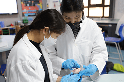 Year 13 Dissecting Hearts - Year 13 Dissecting Hearts