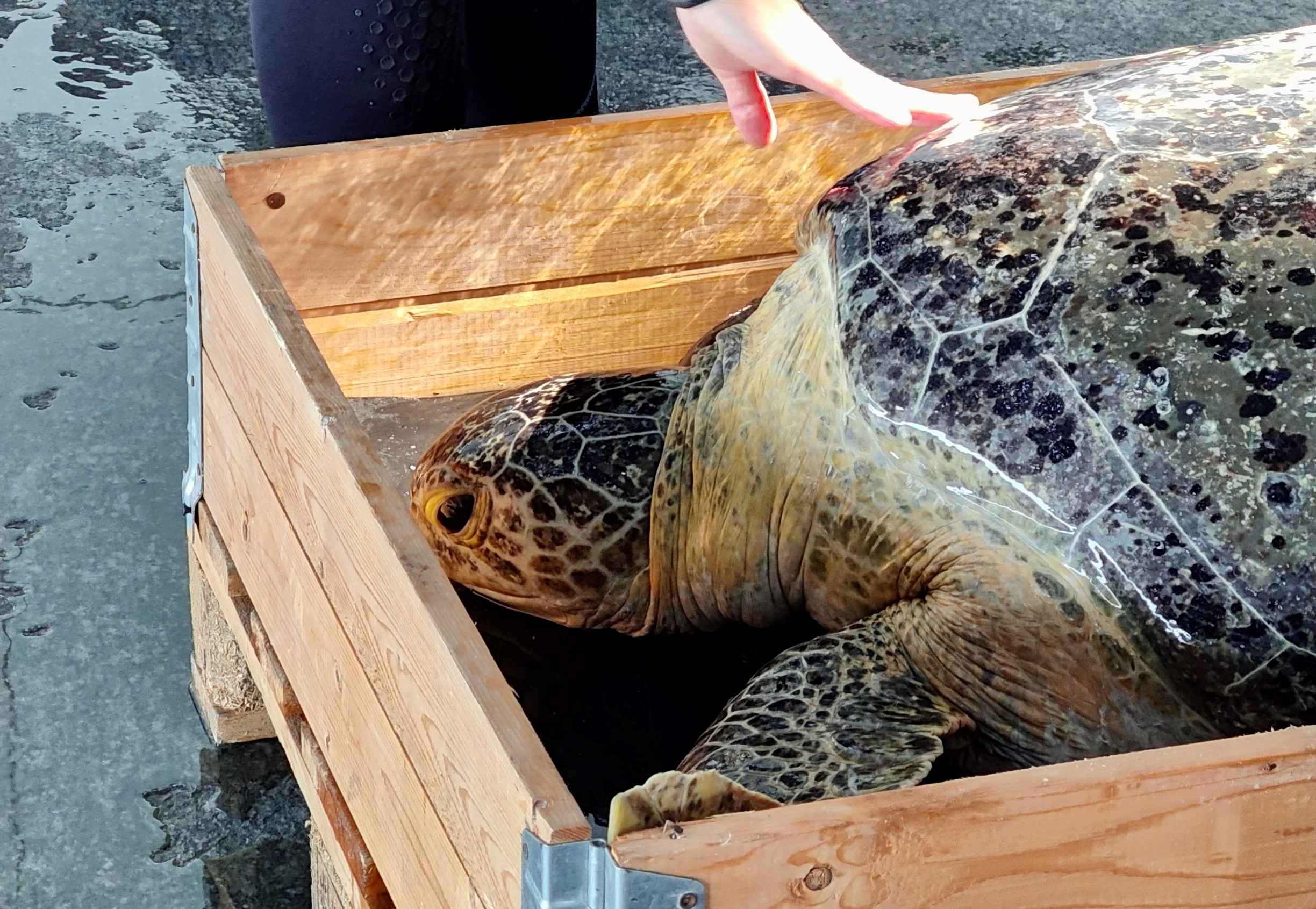 Louvre Trip Year 10-12 Art Students - Carousel For News Detail