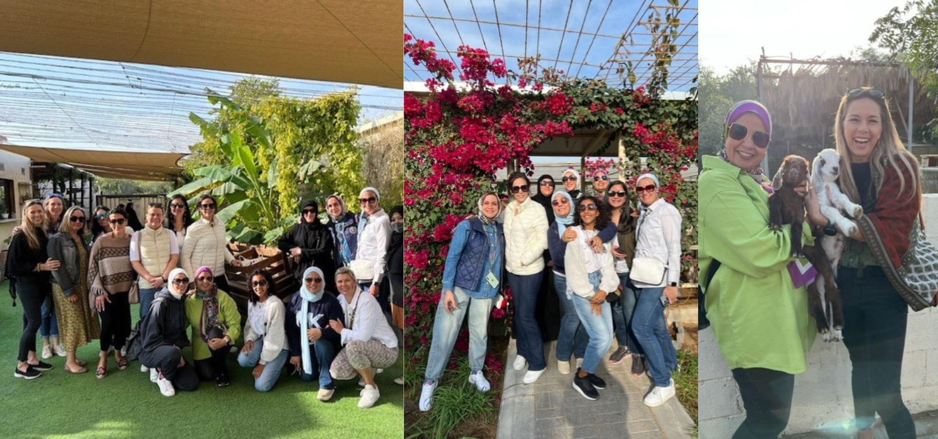 Parent out and about at Mazarra Organic Farm - Carousel For News Detail