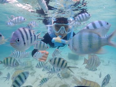 Summer Competition Winners - Summer Competition Winners