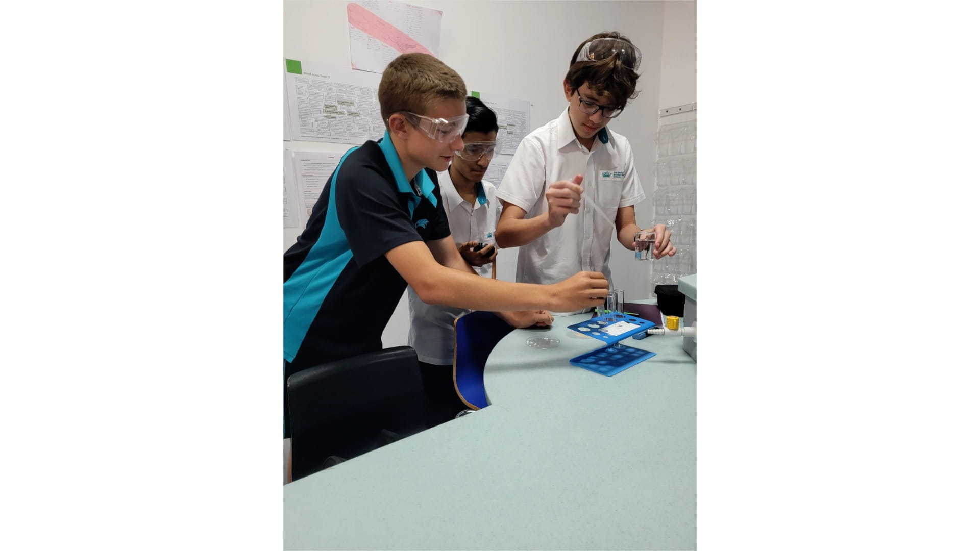 Year 9 Biology Enzyme Action - Carousel For News Detail