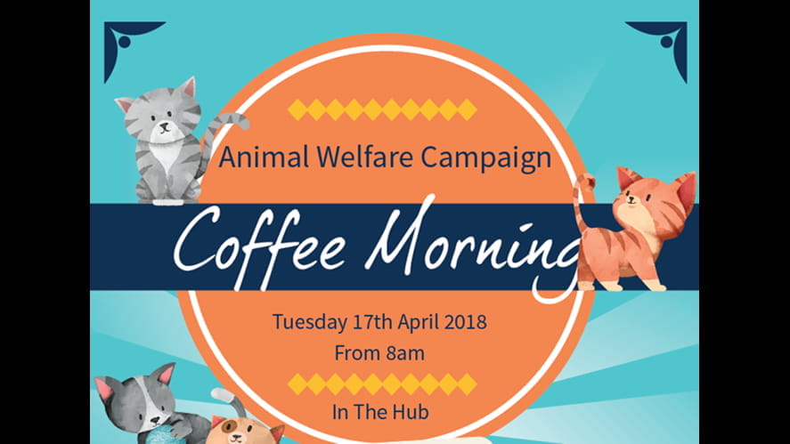Animal Welfare Campaign - animal-welfare-campaign