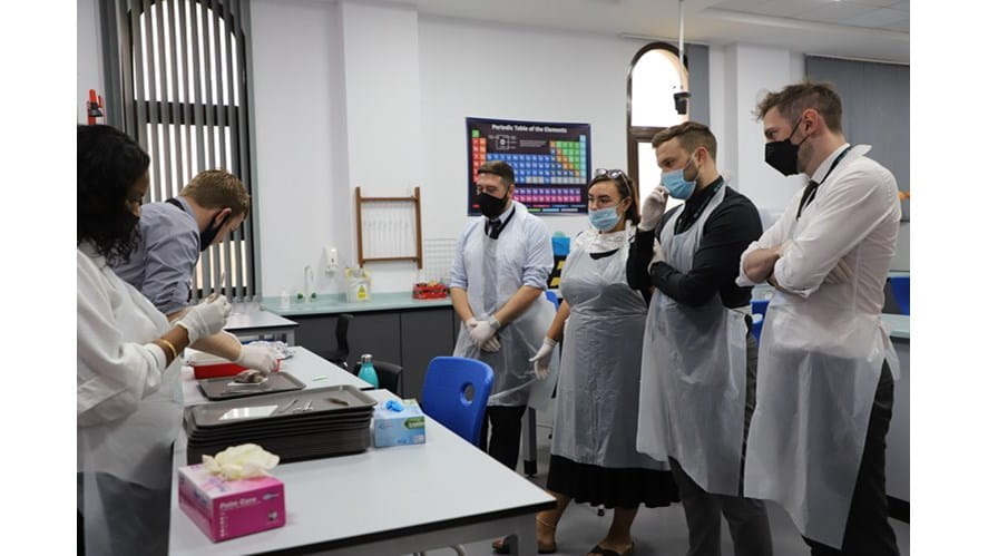 Heart Dissection - heart-dissection