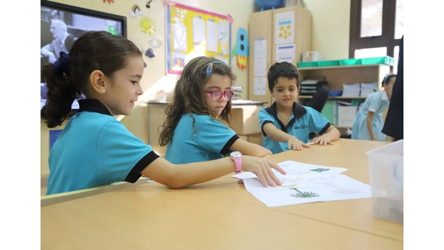 The Learning Zone - the-learning-zone