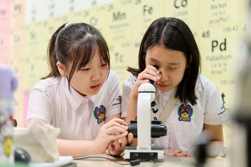 Các trường quốc tế theo dõi sự tiến bộ của học sinh trong học tập như thế nào | Trường Quốc tế Anh Hà Nội - monitoring student progression international school