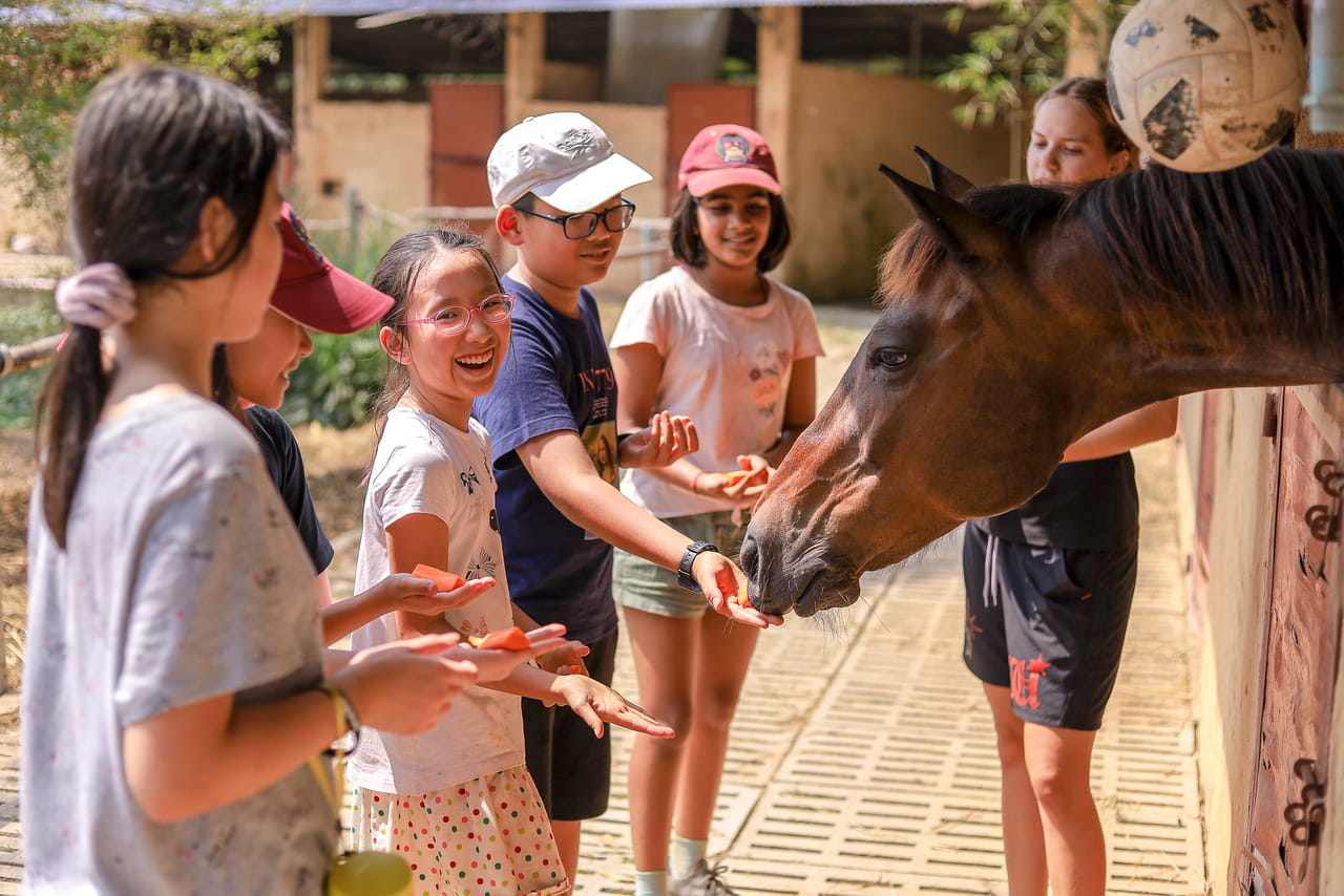 Learning Independence Primary Expeditions 2023 - Carousel For News Detail - Hippo Farm