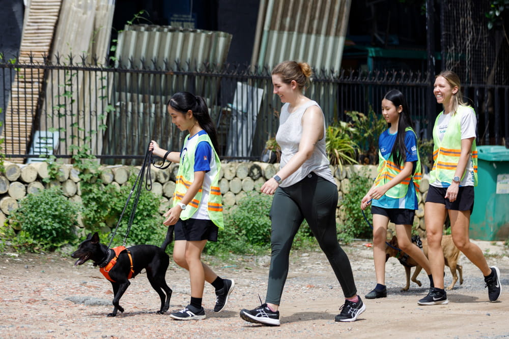 BIS HCMC Graduates of 2024 are now joining top universities around the world - Carousel For CCAs