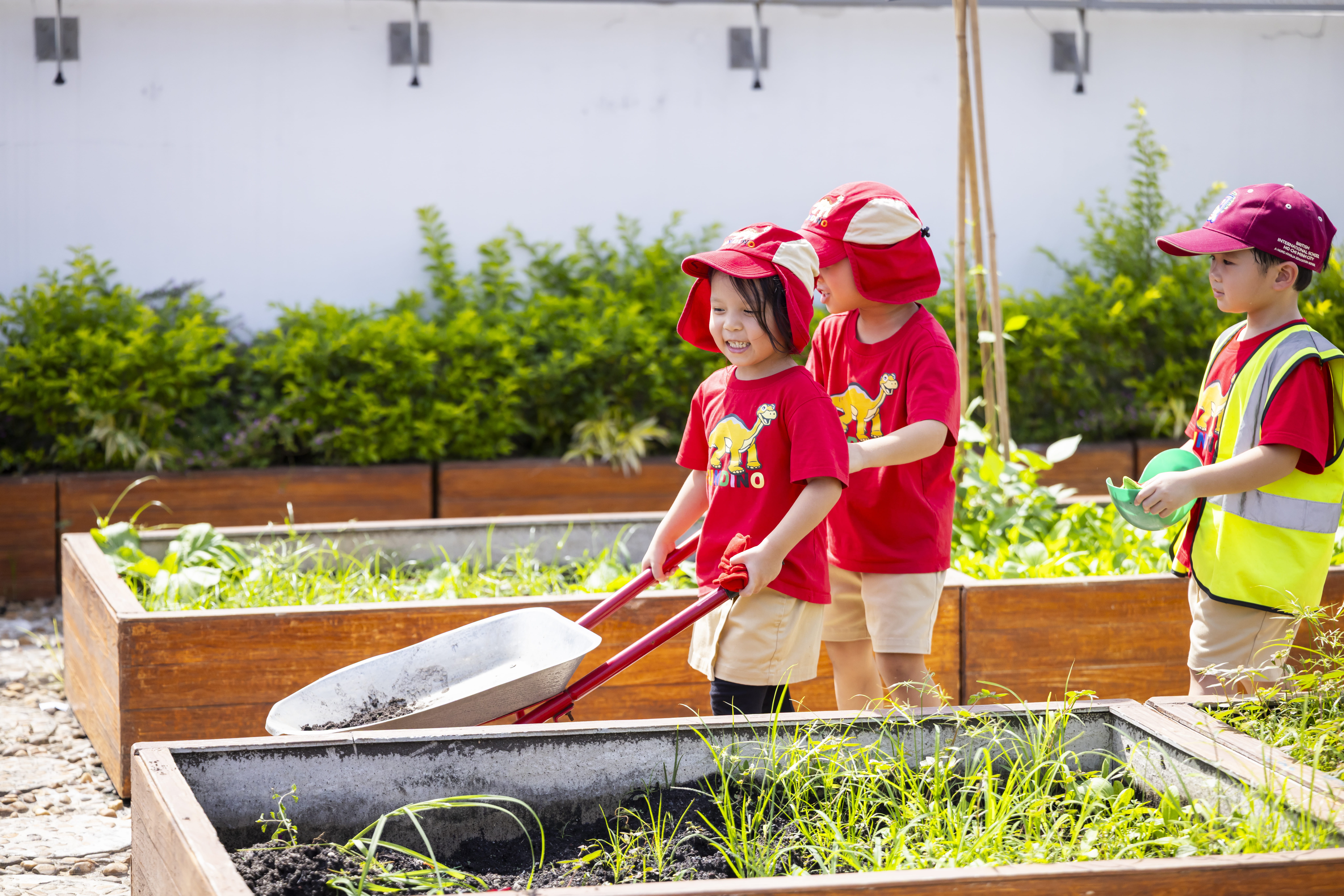 An Outstanding Start - What Our Latest Inspection Reveals About Early Years at BIS HCMC - An Outstanding Start - What Our Latest Inspection Reveals About Early Years at BIS HCMC