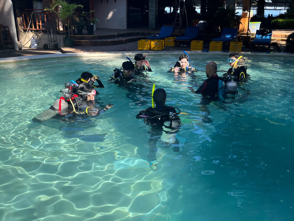 Secondary Expeditions 2026: Real-World Learning Across Vietnam and Asia, Told by Our Students - Year 12 Diving