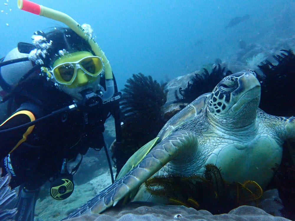 Secondary Expeditions 2026: Real-World Learning Across Vietnam and Asia, Told by Our Students - Year 12 Diving