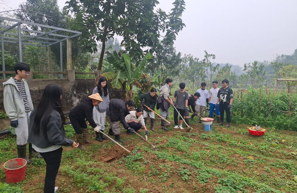 Secondary Expeditions 2026: Real-World Learning Across Vietnam and Asia, Told by Our Students - Year 12 Blue Dragon