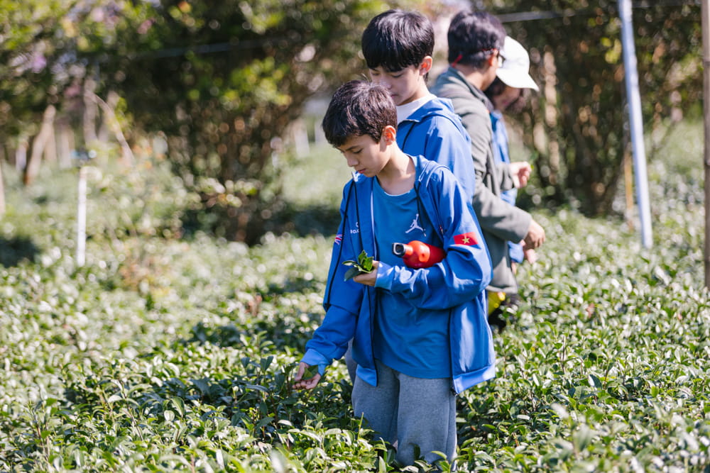 Secondary Expeditions 2026: Real-World Learning Across Vietnam and Asia, Told by Our Students - Y8