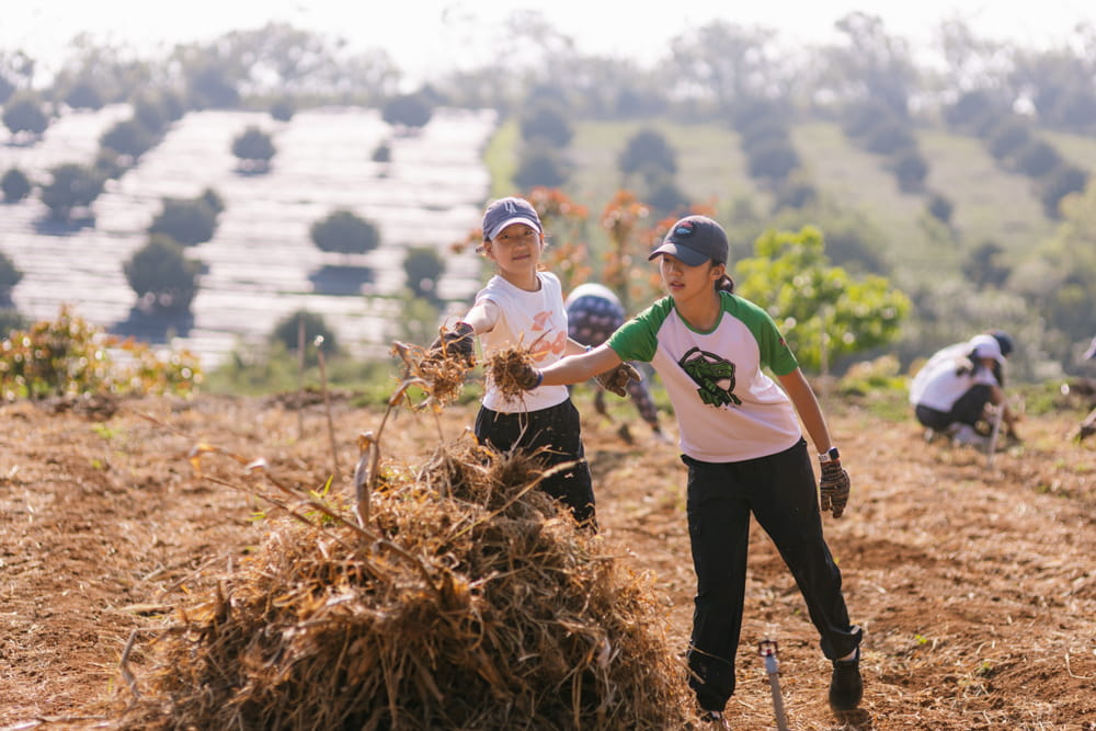 Secondary Expeditions 2026: Real-World Learning Across Vietnam and Asia, Told by Our Students - Y8