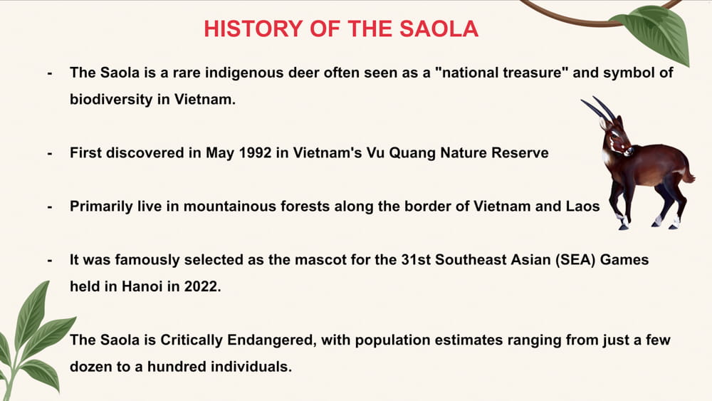 From Crest to Court - The Saola Comes to Life at BIS HCMC as our First-Ever Official Sports Mascot - From Crest to Court - The Saola Comes to Life at BIS HCMC as our First-Ever Official Sports Mascot