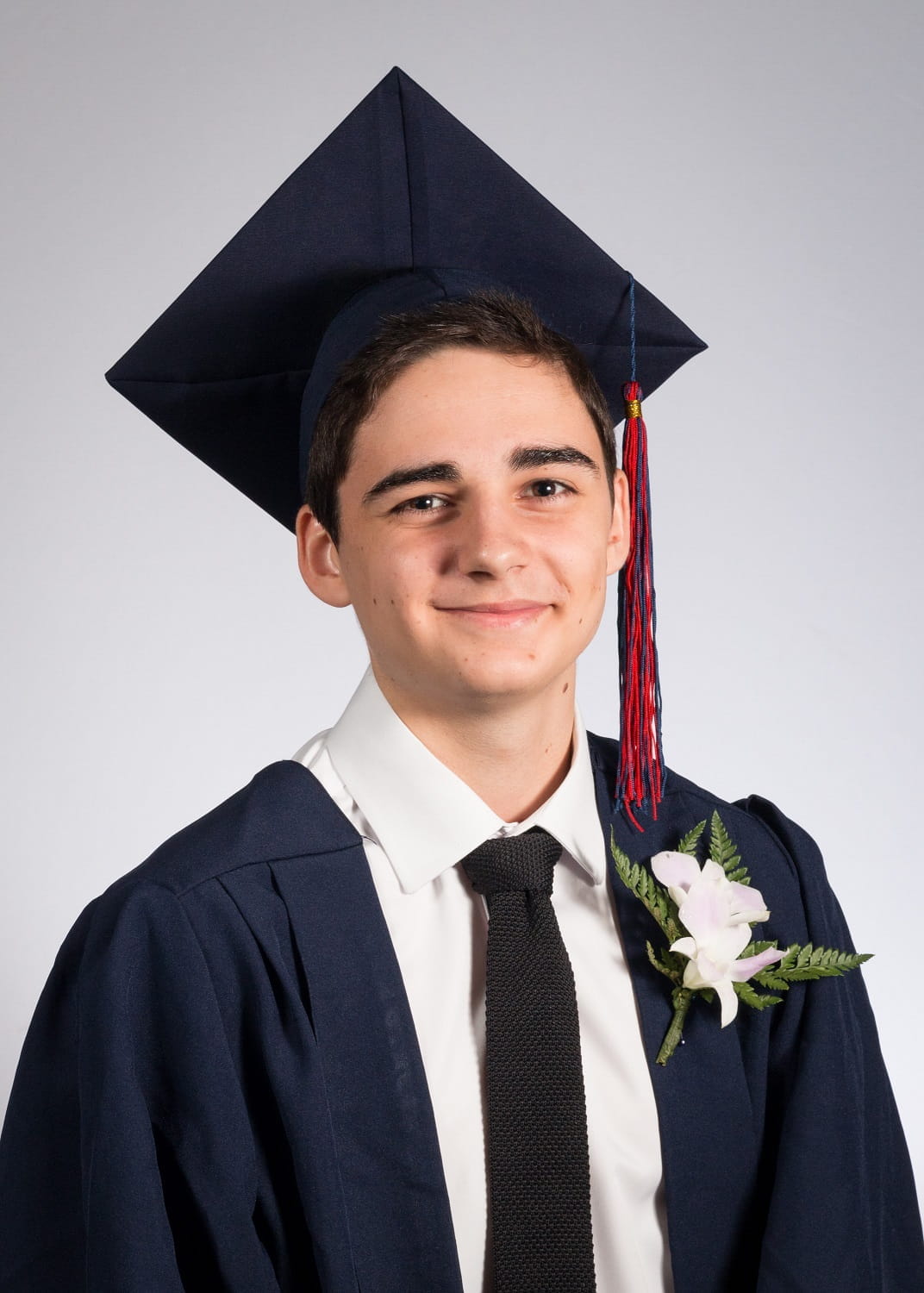 Academic Excellence | BIS HCMC - Feature Cards Pattern 1