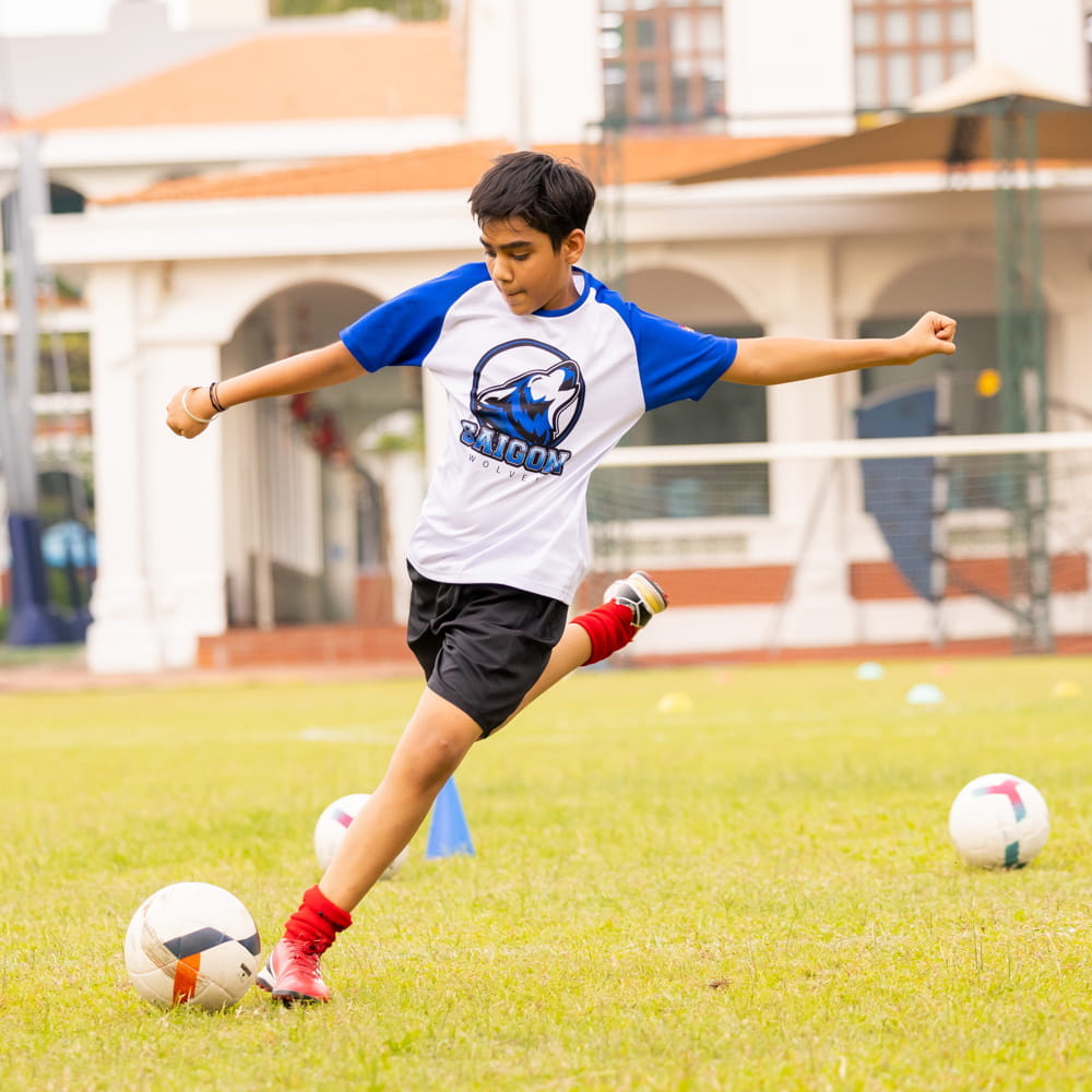 IGCSE School HCMC | BIS HCMC - Small Text And Image Checklist