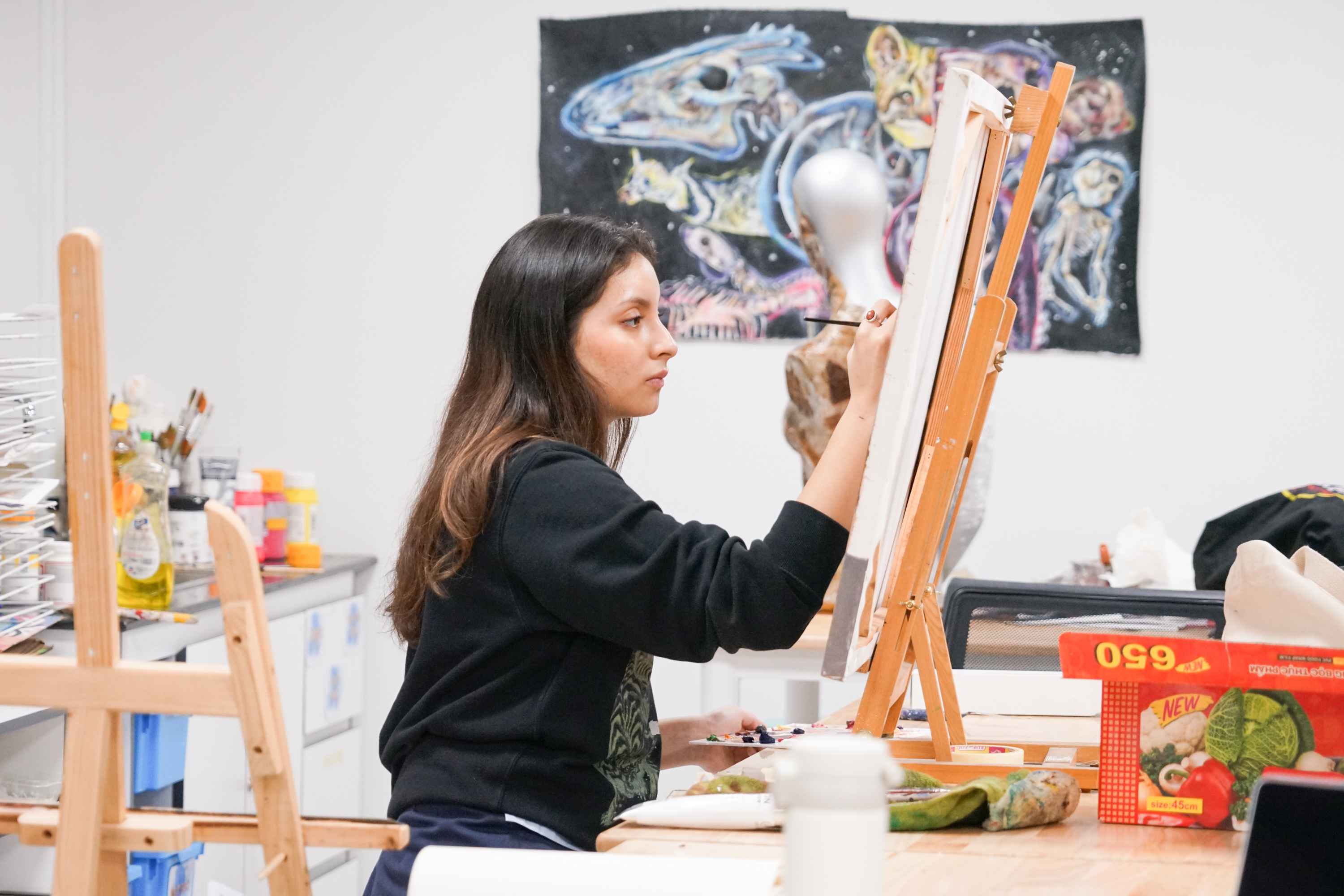 University Destinations | BIS HCMC - Image-50-50