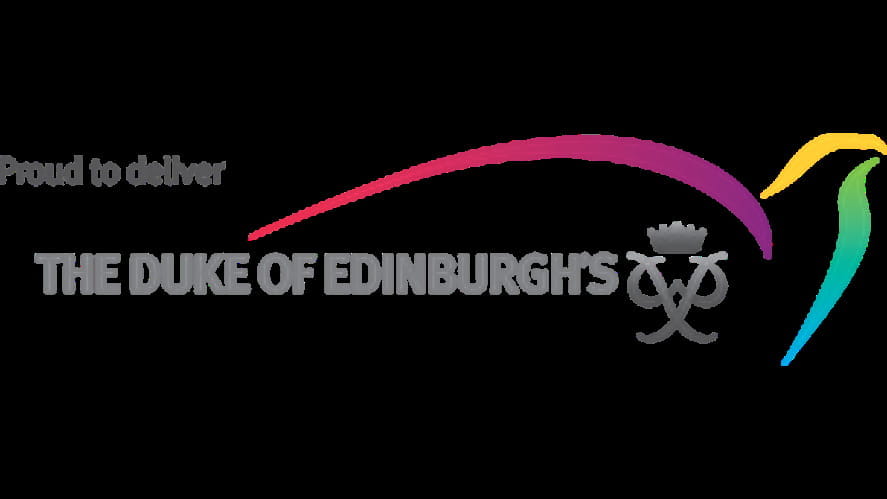 DOE International Award 2017