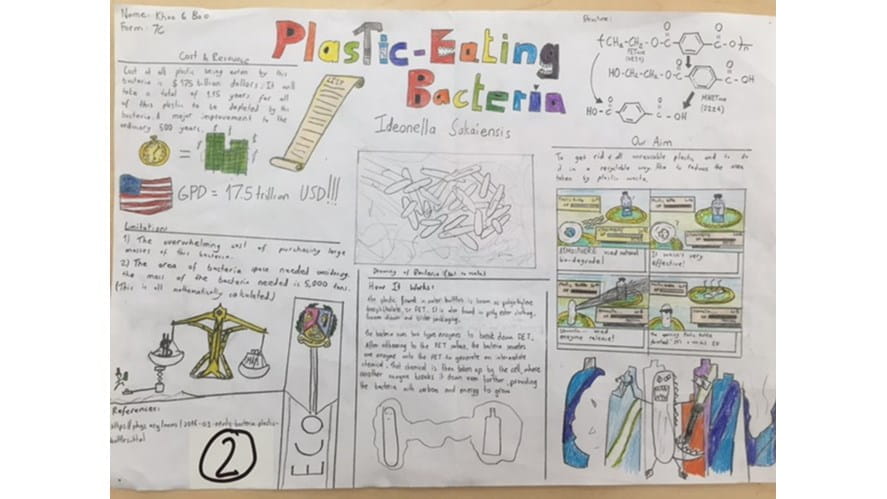 Environment Week at BIS HCMC Overall winner 640x480