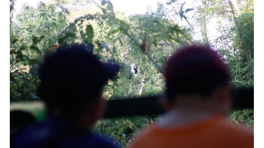 38878069860_951713086f_o