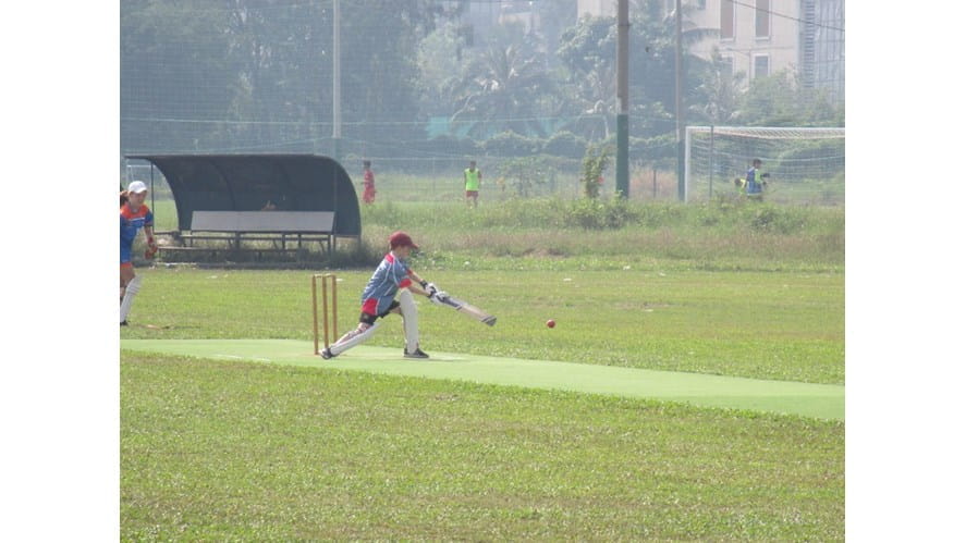 Cricket CCA 2019 18min