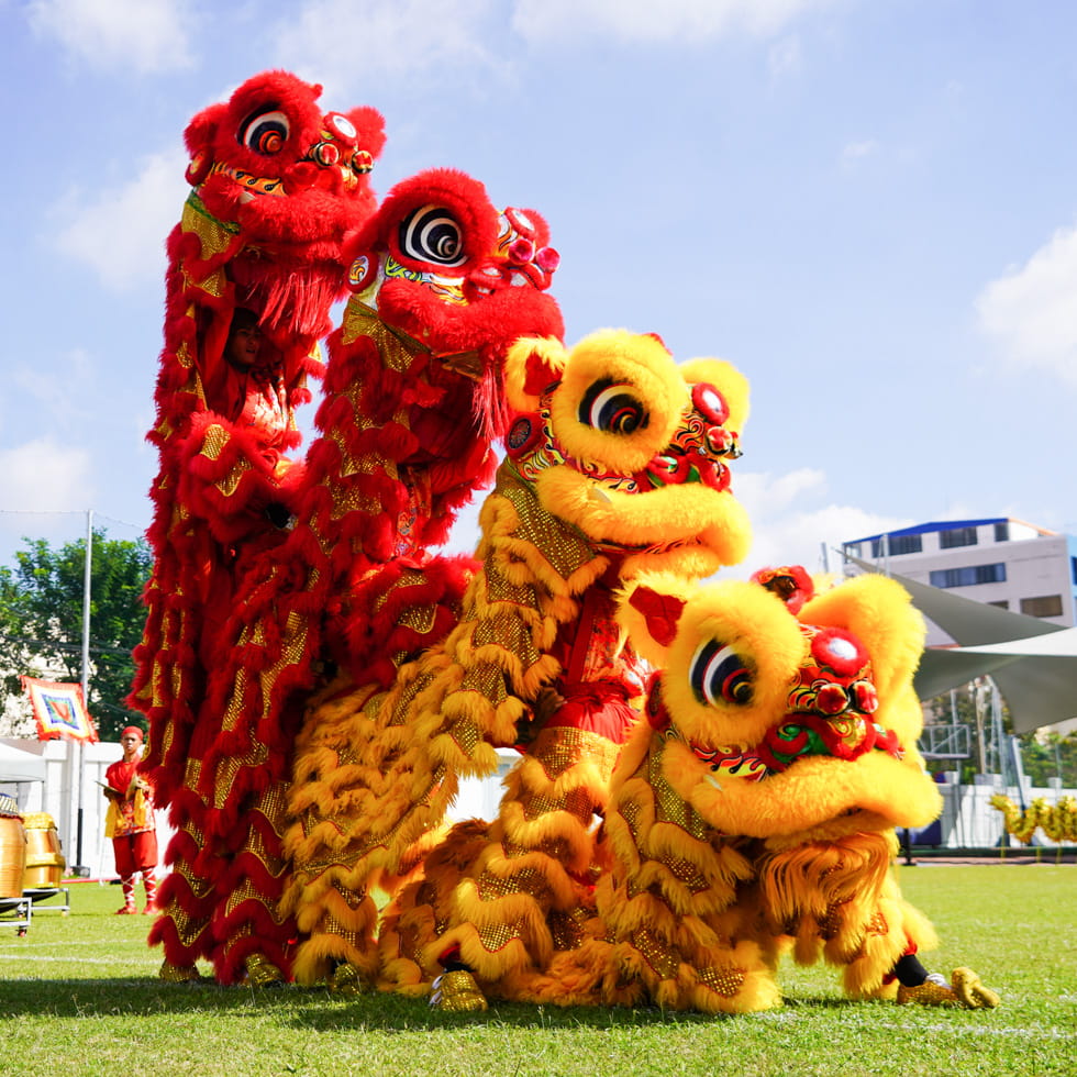 Parent Essentials | BIS HCMC - Preparing for School