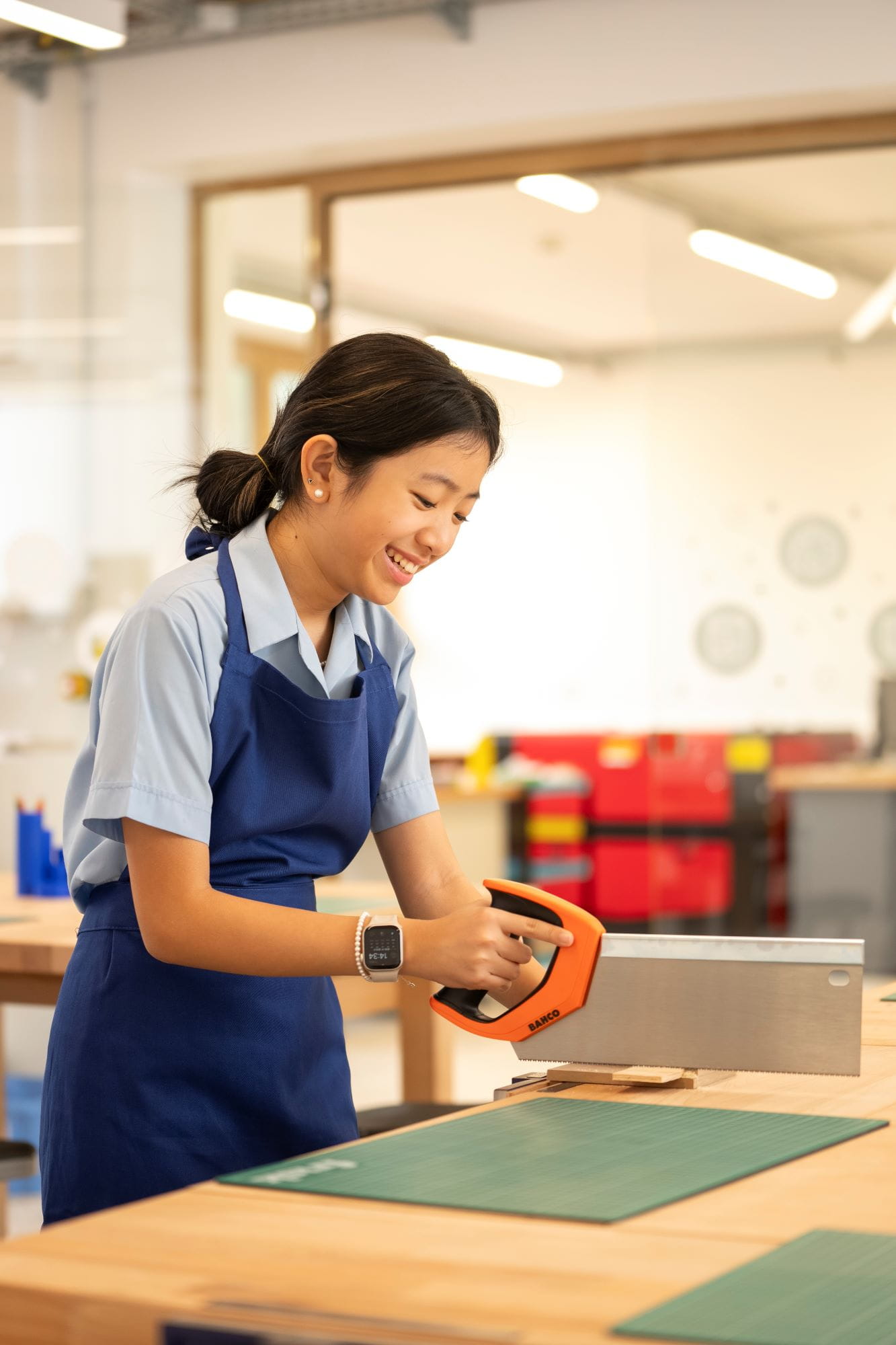 Secondary English Curriculum School | BISB Bratislava - 07 - Small Text And Image