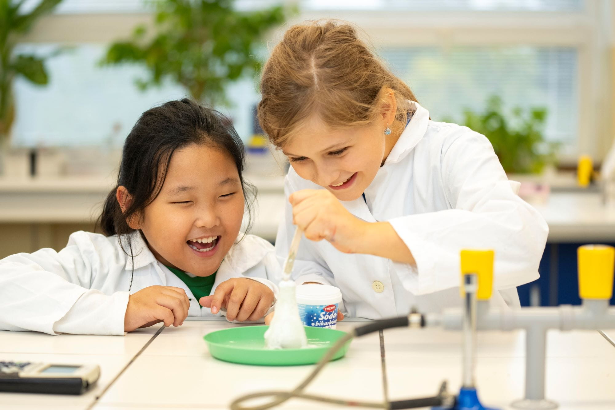 International Primary School in Bratislava| BISB Bratislava - 06 - Visual Time Line