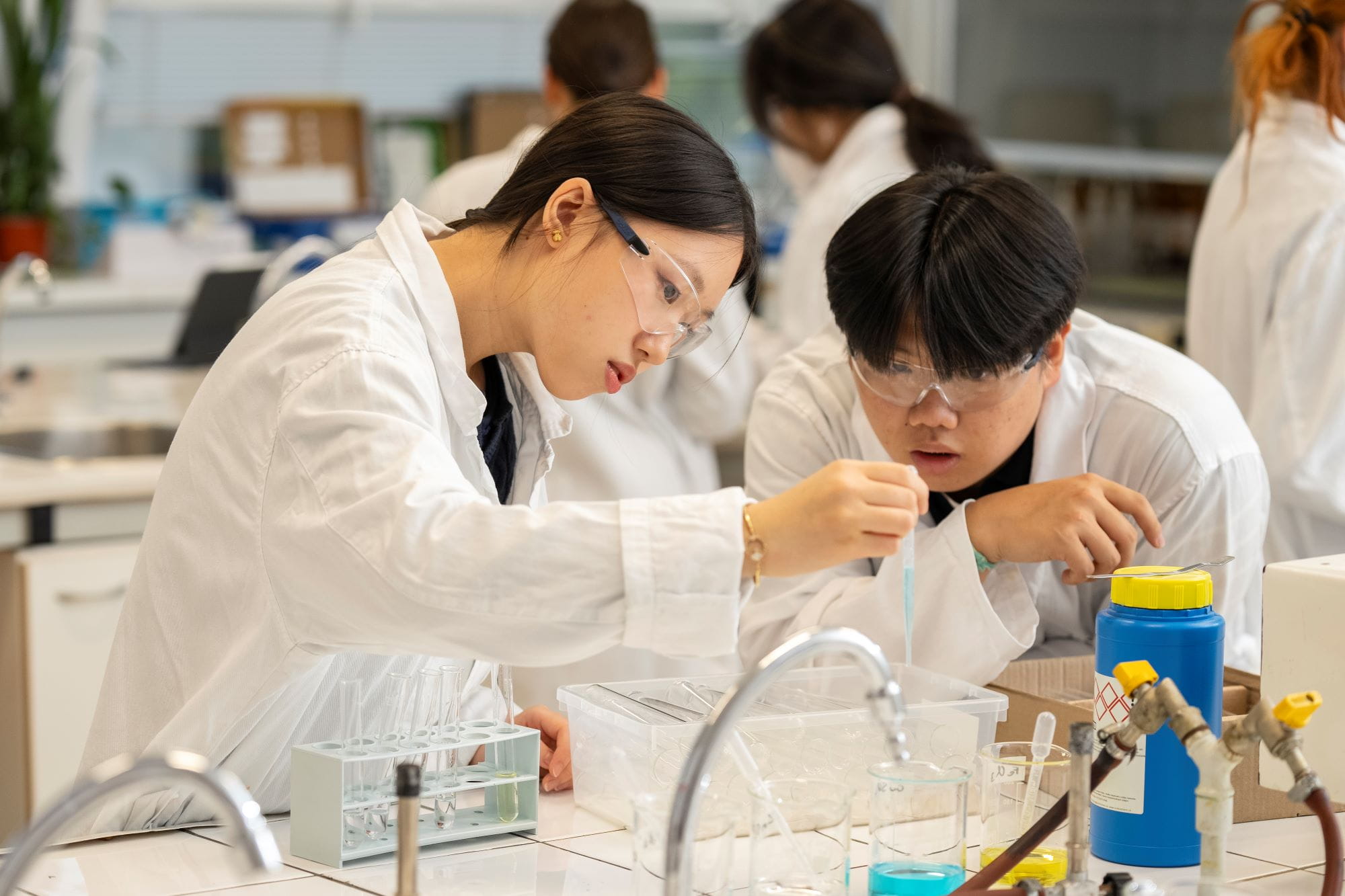 IB Program Bratislava | British International School Bratislava - 06 - Visual Time Line