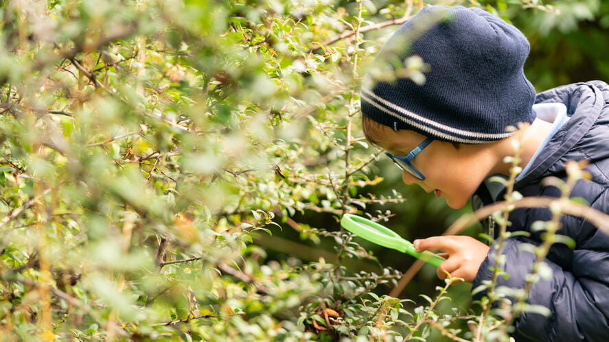 Forest School | British International School Bratislava - Forest School
