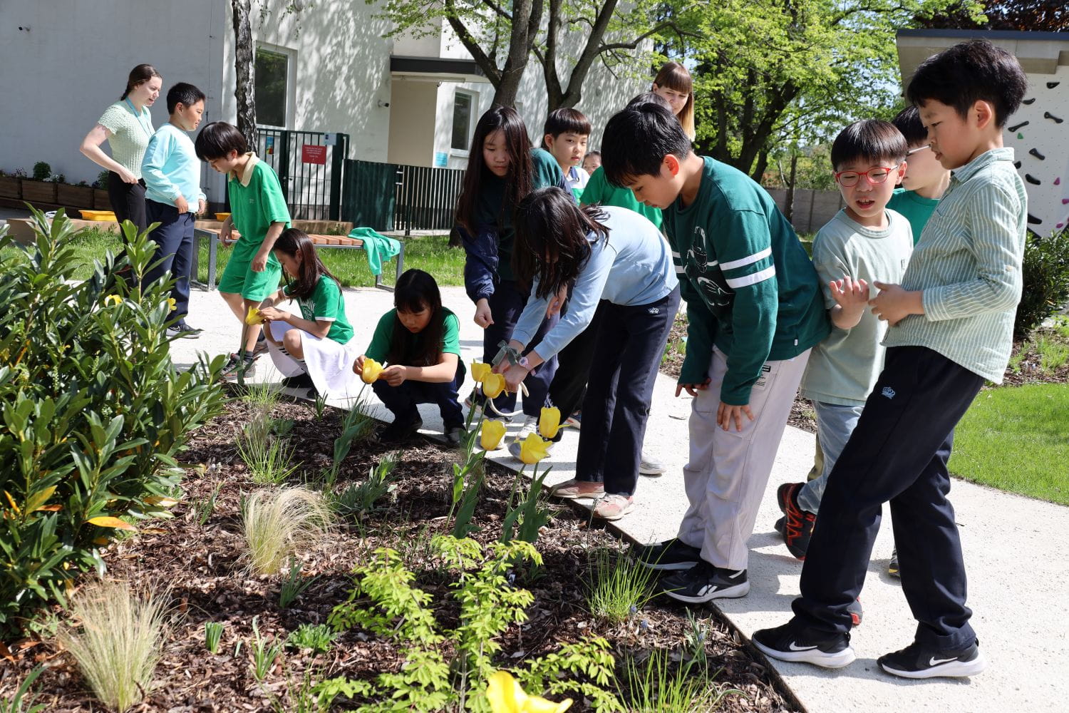 GREAT GREEN ECO DAY - GREAT GREEN ECO DAY