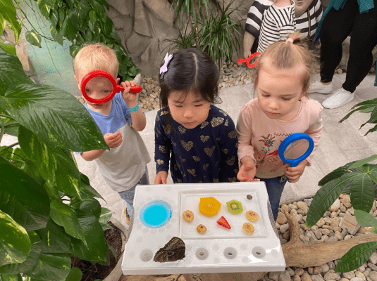 The Power of Play: Unlocking Potential in Early Education - The Power of Play_Unlocking Potential in Early Education