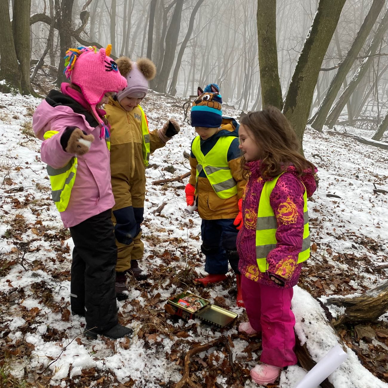 An Accredited Eco-School | BIS Bratislava - Feature Cards Pattern