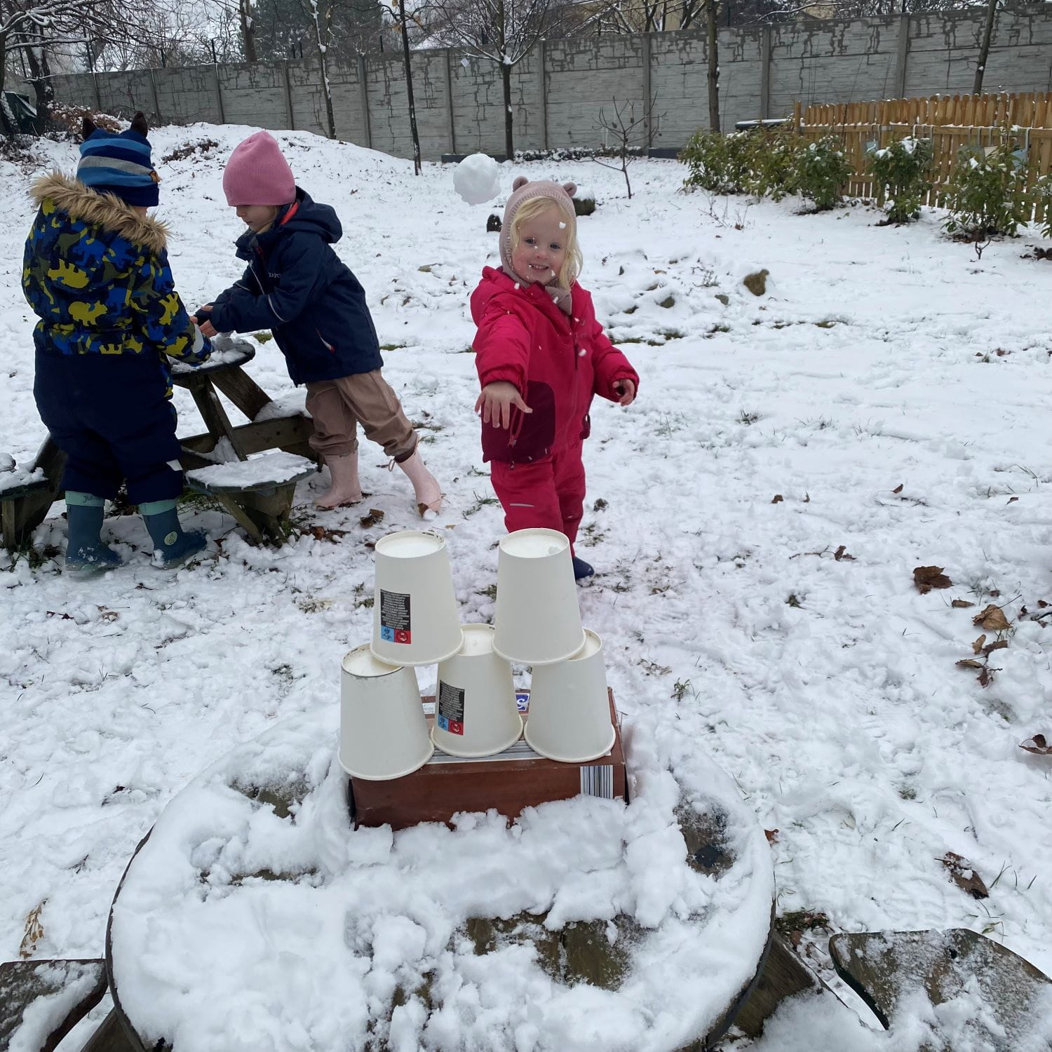 An Accredited Eco-School | BIS Bratislava - Feature Cards Pattern