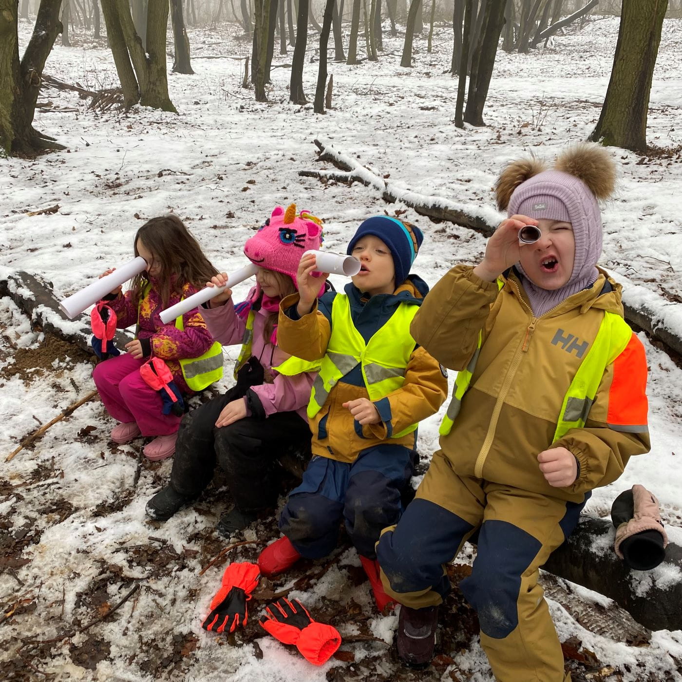 An Accredited Eco-School | BIS Bratislava - Feature Cards Pattern