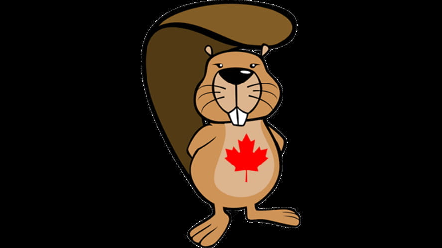 Beaver Computing Challenge - beaver-computing-challenge