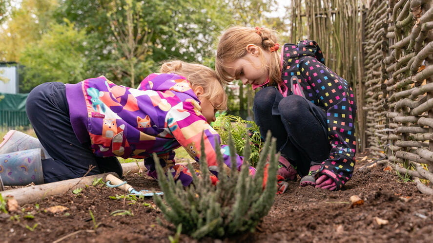 Eco-School | British International School Bratislava - Eco School